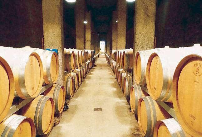 5 of the best wine tours in the world