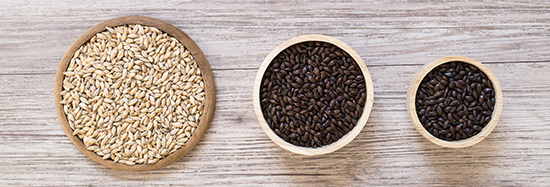 The Evolution of Barley, Malt, and Beer Flavor