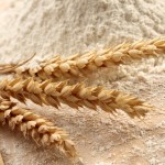 Hayden Flour Mills – Artisan Wheat Flour