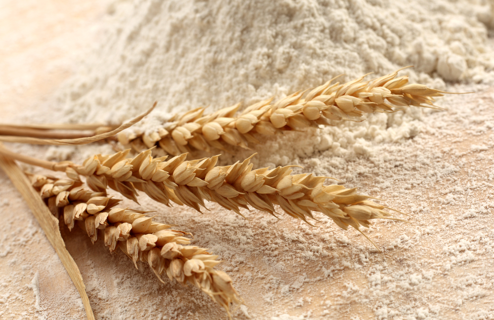 Hayden Flour Mills – Artisan Wheat Flour