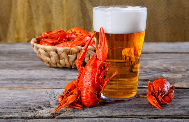 Secrets of Pairing Beer and Food Revealed