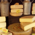 Visiting Cheese Tasting Rooms