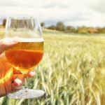 Saison, A Funky Farmhouse Ale for all Occasions