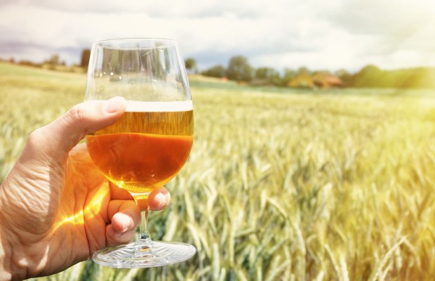 The Saison is the hottest craft beer trend