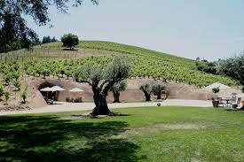 Bella Vineyards and Wine Caves