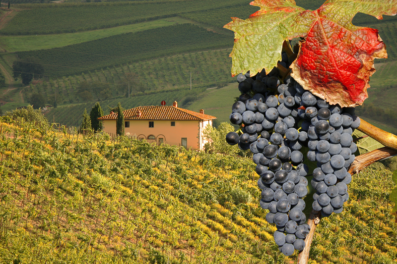 A Glimpse Inside Italy’s Wine Regions: The Wines of Montalcino & Gorizia