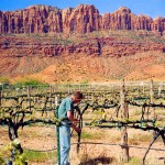 Magnificent Scenery and Grand Wine – Wineries in Moab, Utah