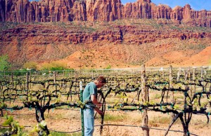 wineries in moab utah