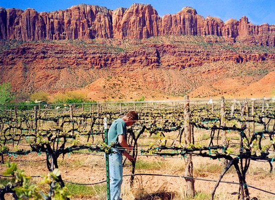 wineries in moab utah