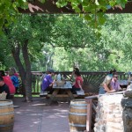 Page Springs Cellars Vineyard and Winery – Cornville, Arizona