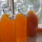 Have You Tried Kombucha Brewing at Home?