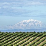 Washington’s Long Tradition for Winemaking is All About Location