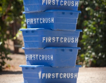 Paso Robles Harvest Wine Crush