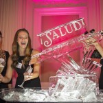 Buy Wine for a Worthy Cause from the 2015 ¡Salud! Pinot Noir Auction