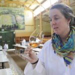 National Cool Climate Wine Show kicks off in Bathurst