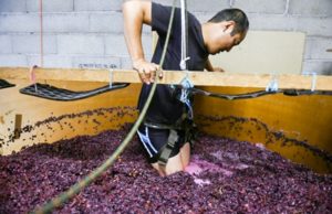 ‘Extreme’ Japanese Winemaker Is a Natural