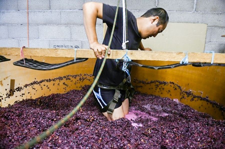 ‘Extreme’ Japanese Winemaker Is a Natural
