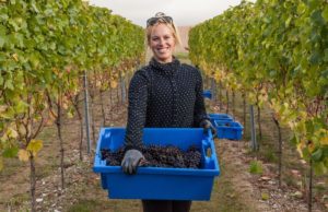 Sussex wine awarded protected regional status