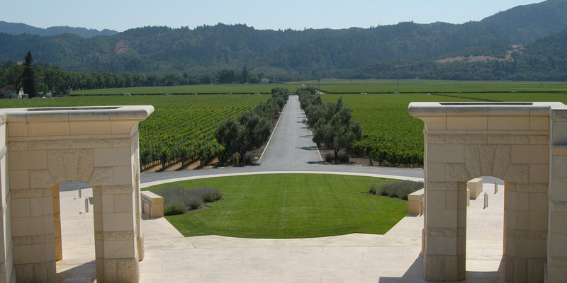 The Technologies That Make This Wine So Expensive