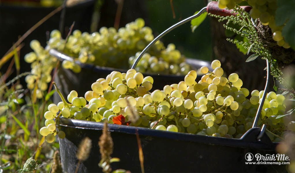 Five lesser-known French wine styles to discover in 2017