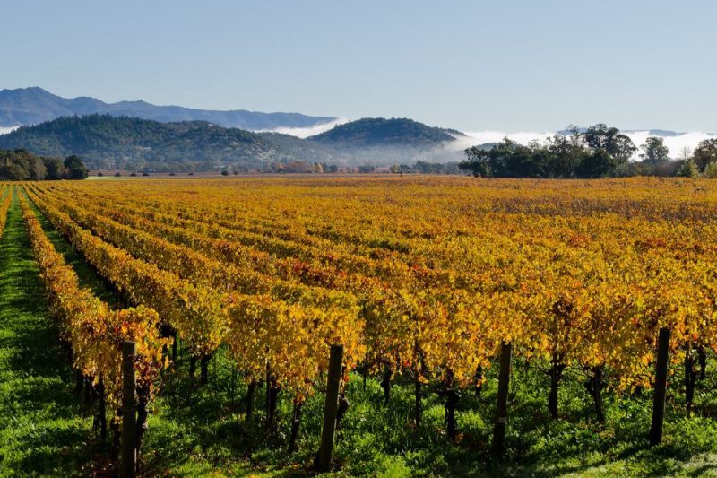 The Off Season Is the Best Season: A Wine Traveler’s Guide to Late Fall and Winter